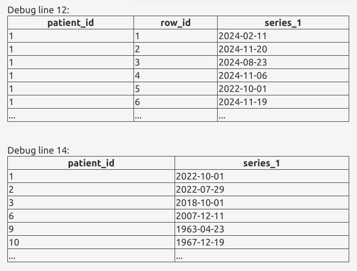 ehrQL debug output